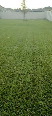 Landon Lawn Care Logo