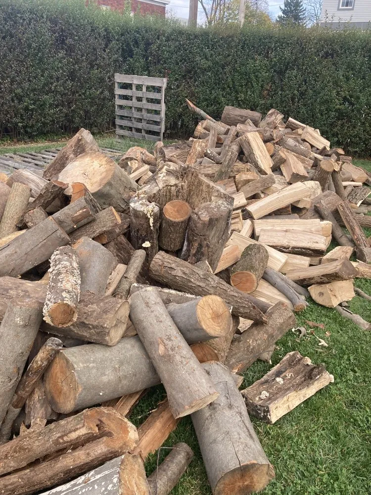 Expert outdoor landscaping experts serving Hamburg, PA - Landon s long lawn care