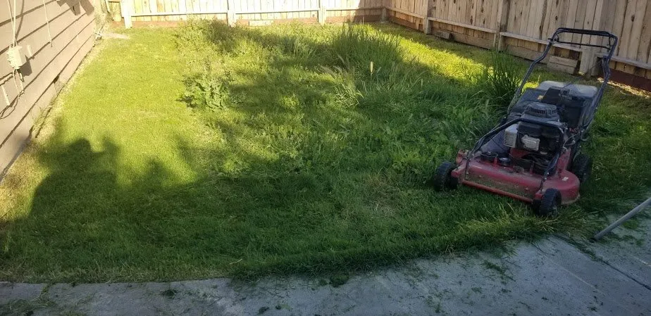 Professional residential landscaping experts serving Turlock, CA - Landon's Landscaping