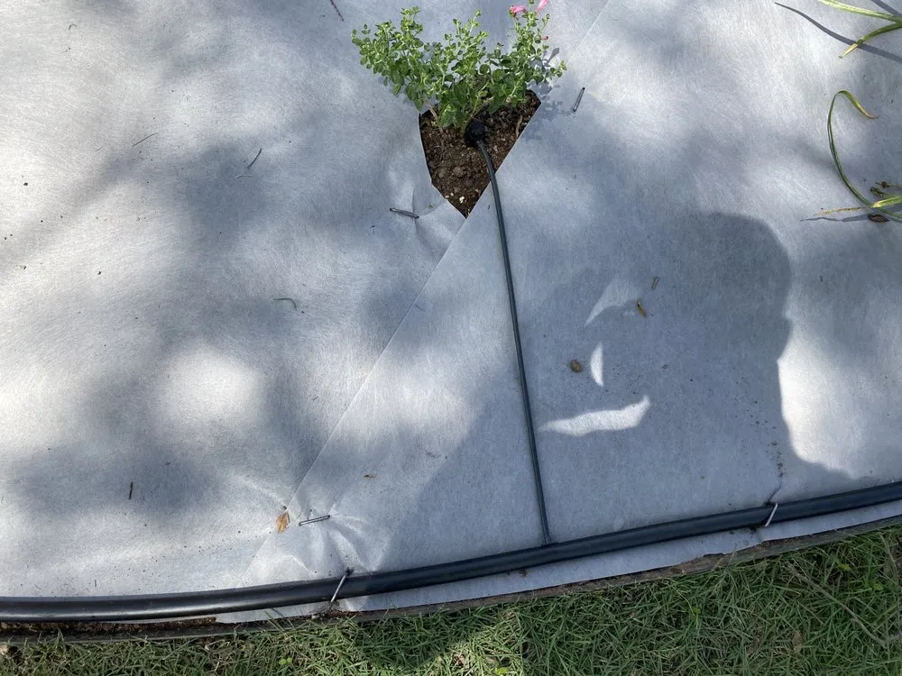 Trusted yard maintenance in Georgetown, TX - Landonscaping