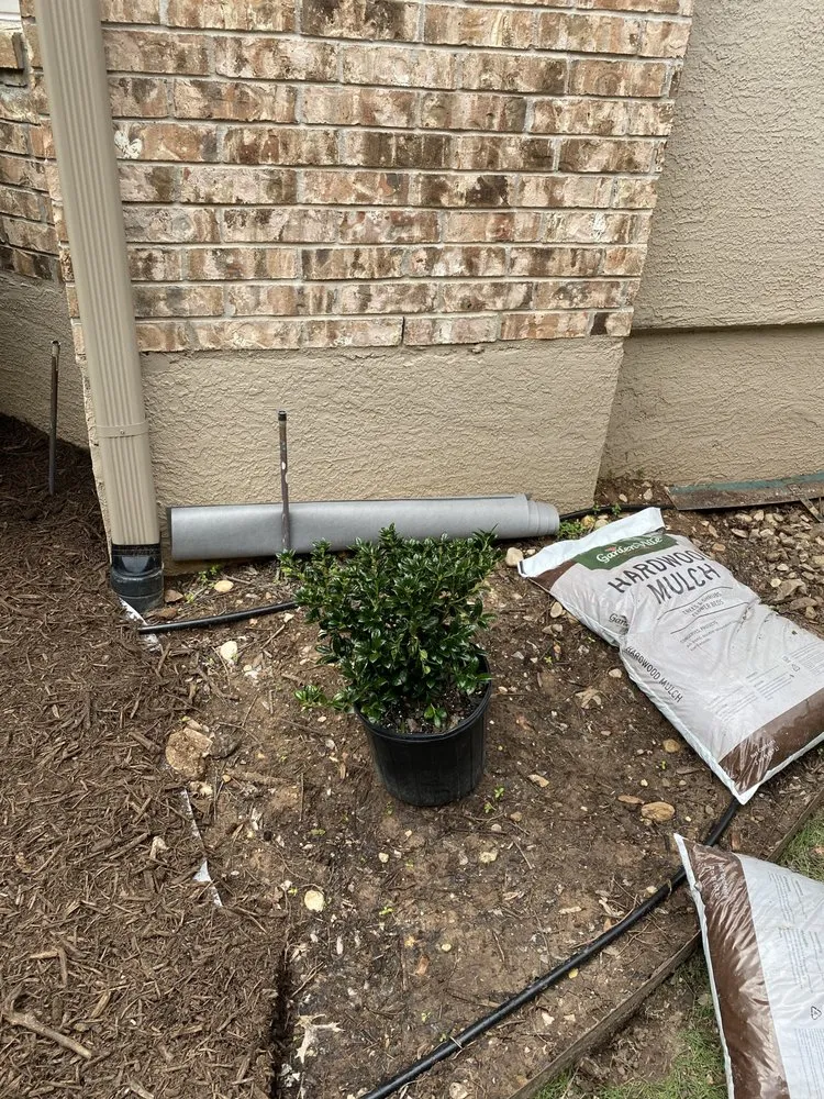 Local yard cleanup service in Georgetown, TX - Landonscaping