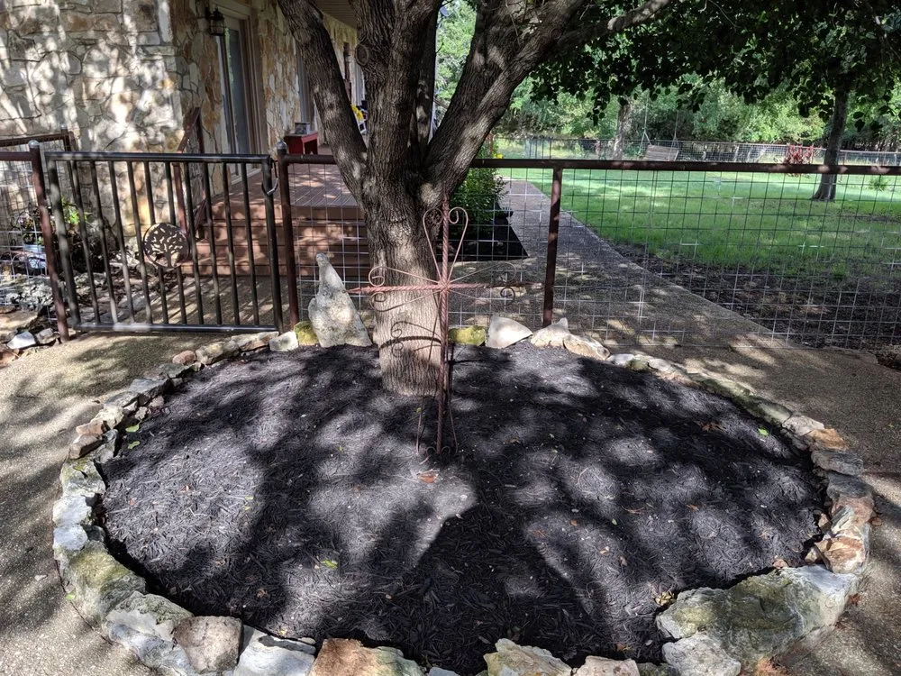 Professional lawn care service for year-round maintenance across Georgetown, TX - Landonscaping