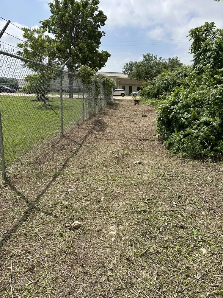 Affordable residential landscaping in Georgetown, TX by Landonscaping