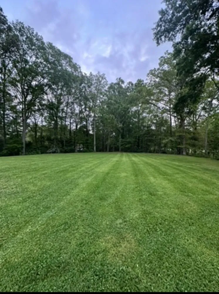 Expert garden landscaping for beautiful yards in Carrollton, GA by Lando’s Landscaping and Home Needs