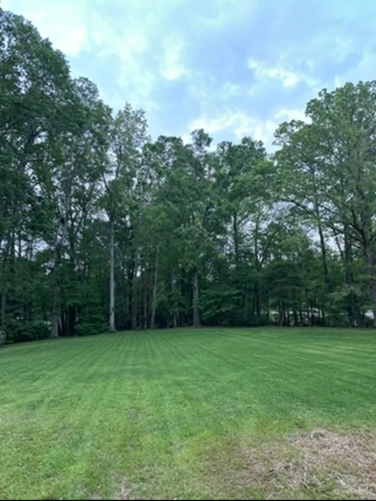 Top-rated yard maintenance near you across Carrollton, GA - Lando’s Landscaping and Home Needs