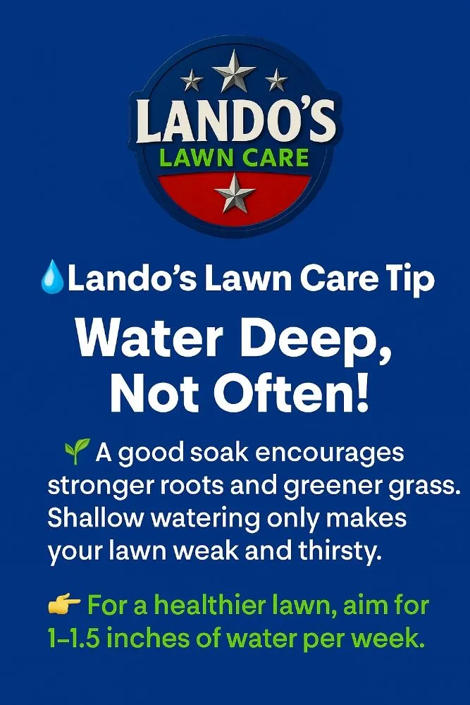 Professional yard maintenance with custom design across Seguin, TX - Lando's Lawn Care