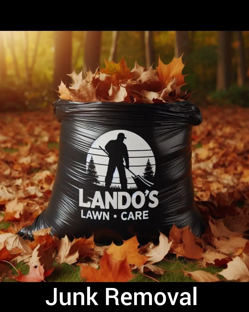 Expert landscape installation experts serving Seguin, TX - Lando's Lawn Care