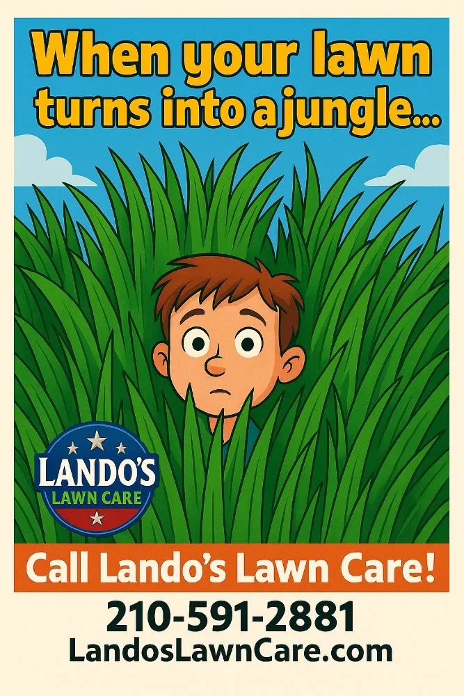 Top-rated landscape design in Seguin, TX by Lando's Lawn Care