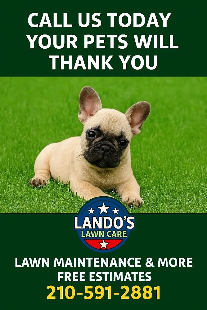 Professional landscape installation with custom design across Seguin, TX - Lando's Lawn Care