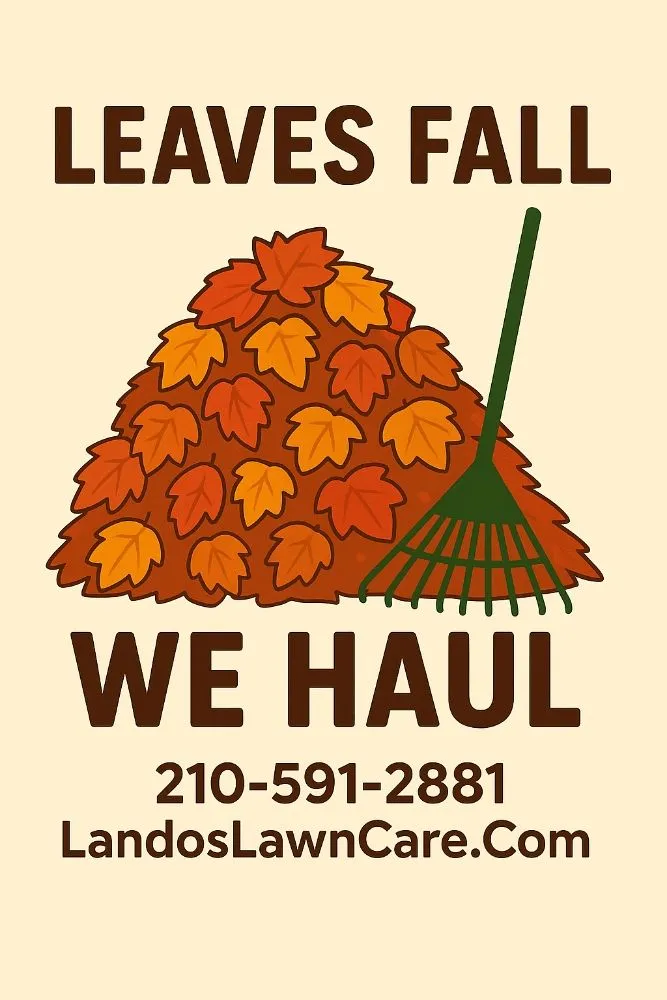 Top-rated landscaping services in Seguin, TX by Lando's Lawn Care