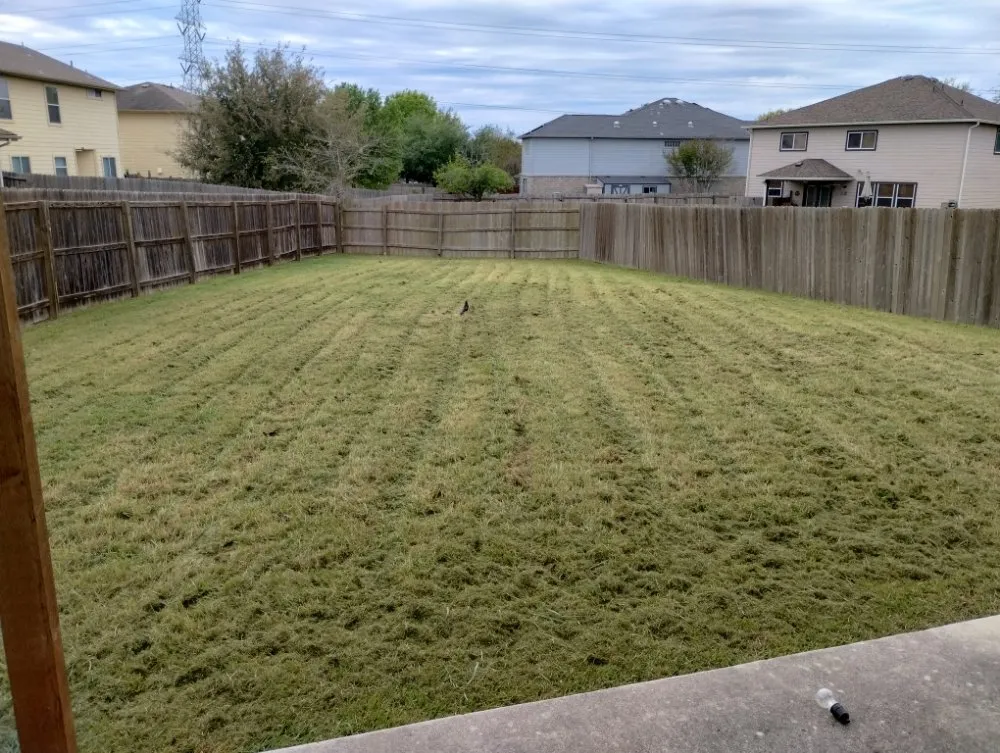Professional landscaping services for residential properties across Seguin, TX - Lando's Lawn Care
