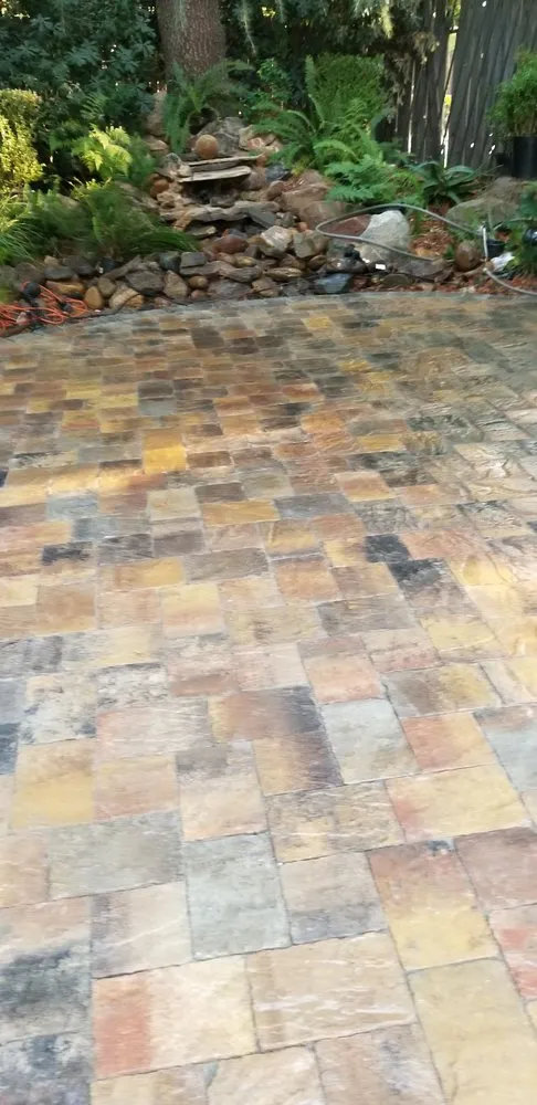 Affordable yard maintenance in Elk Grove, CA - Landpark Landscape