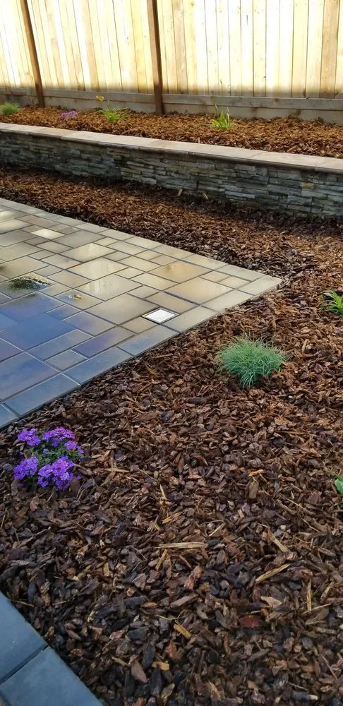Top-rated outdoor landscaping for year-round maintenance in Elk Grove, CA by Landpark Landscape