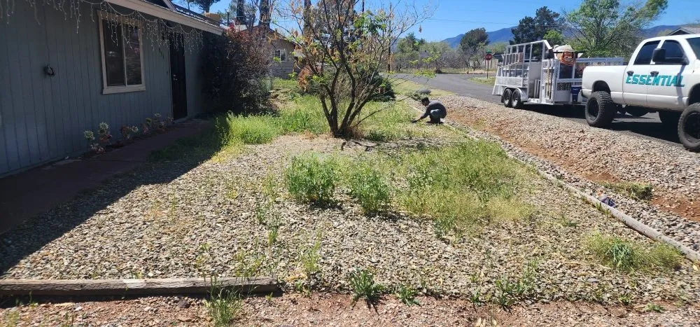 Top-rated outdoor landscaping in Cottonwood, AZ by Landpride Services