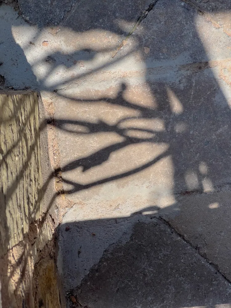 Professional outdoor landscaping experts serving Hurricane, UT - LandPro Landscaping and Maintenance