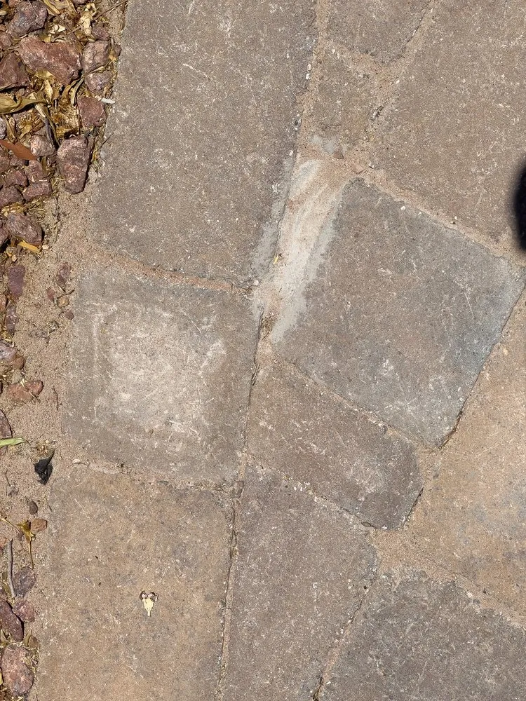 Trusted lawn mowing service in Hurricane, UT by LandPro Landscaping and Maintenance