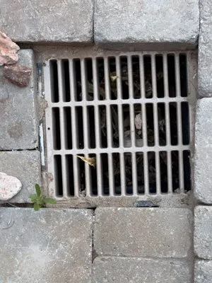 LandPro Landscaping and Maintenance Logo