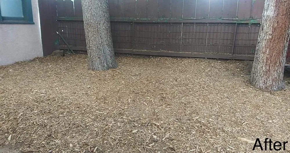 Top-rated landscape design with custom design across Colorado Springs, CO - LandPros