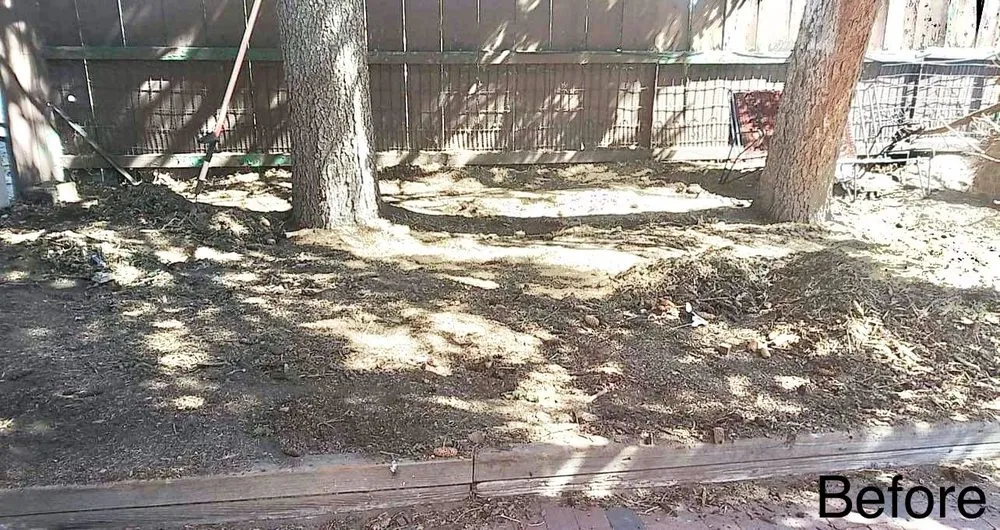 Local yard maintenance in Colorado Springs, CO by LandPros