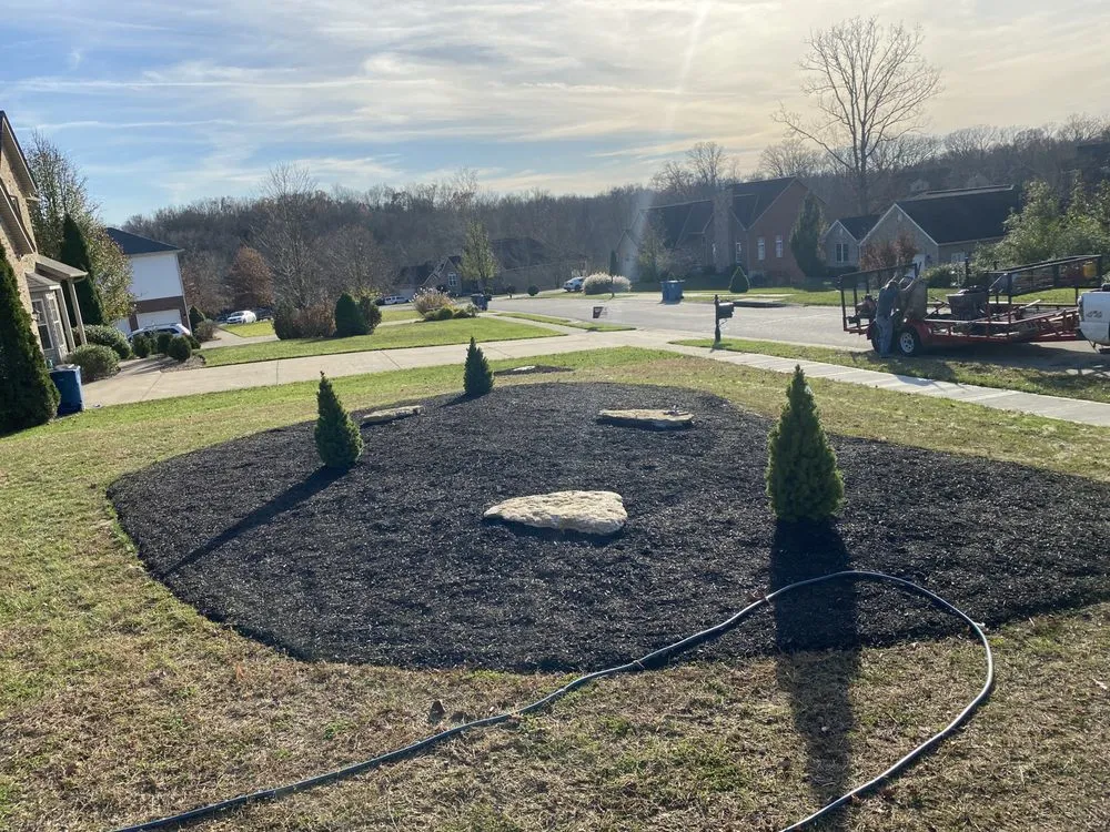 Affordable lawn care service experts serving Dry Ridge, KY - Landrum lawn care