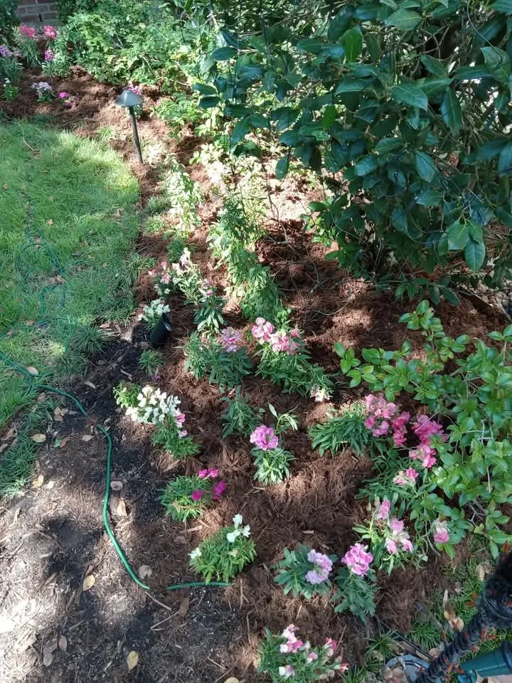 Expert outdoor landscaping for residential properties in Abbeville, LA by Landrys Landscaping and Gardening