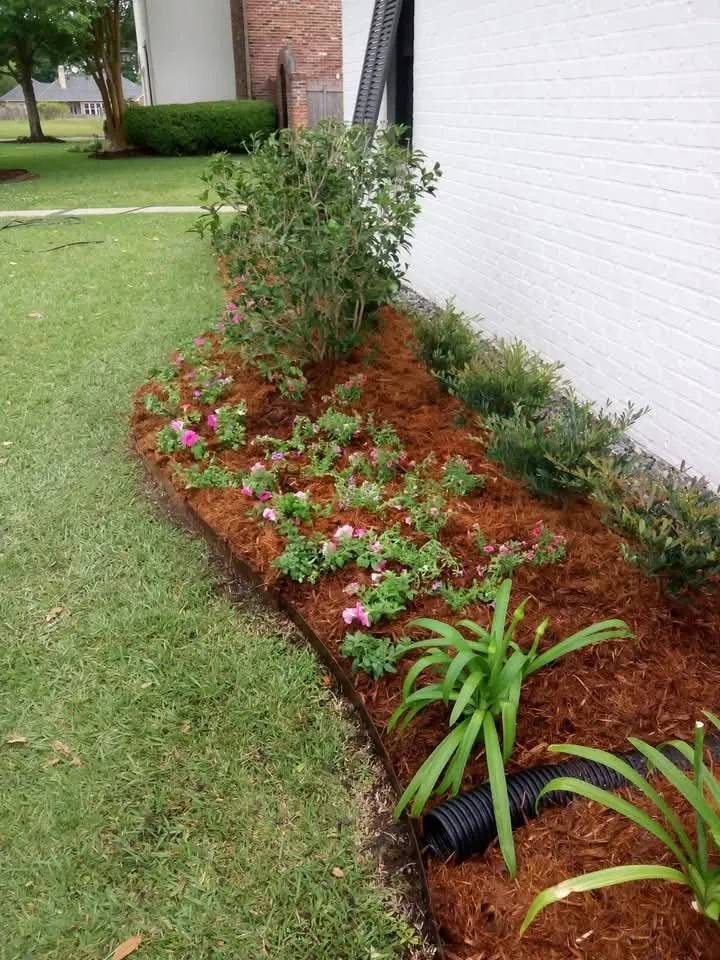 Top-rated landscape installation for beautiful yards in Abbeville, LA by Landrys Landscaping and Gardening
