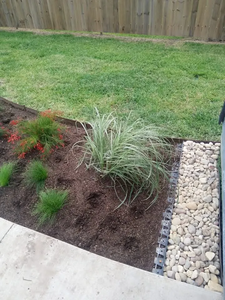 Expert residential landscaping for beautiful yards across Abbeville, LA - Landrys Landscaping and Gardening