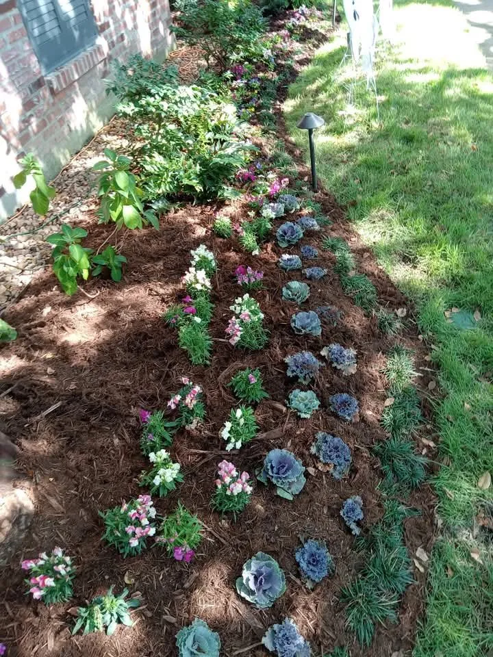 Expert lawn care service in Abbeville, LA - Landrys Landscaping and Gardening