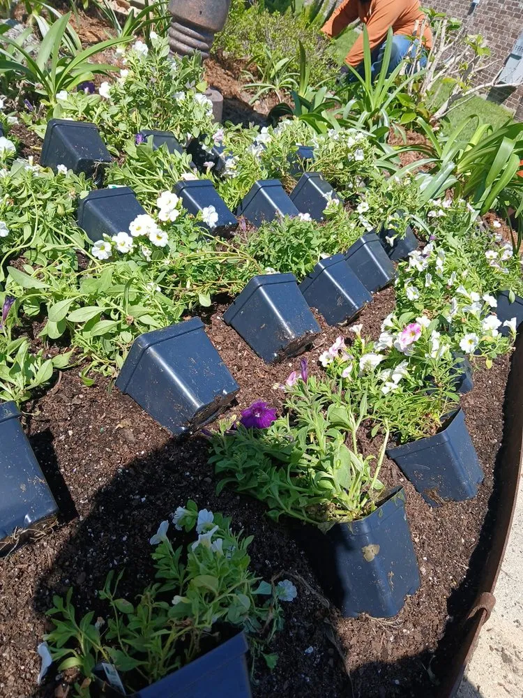 Reliable landscape installation experts serving Abbeville, LA - Landrys Landscaping and Gardening