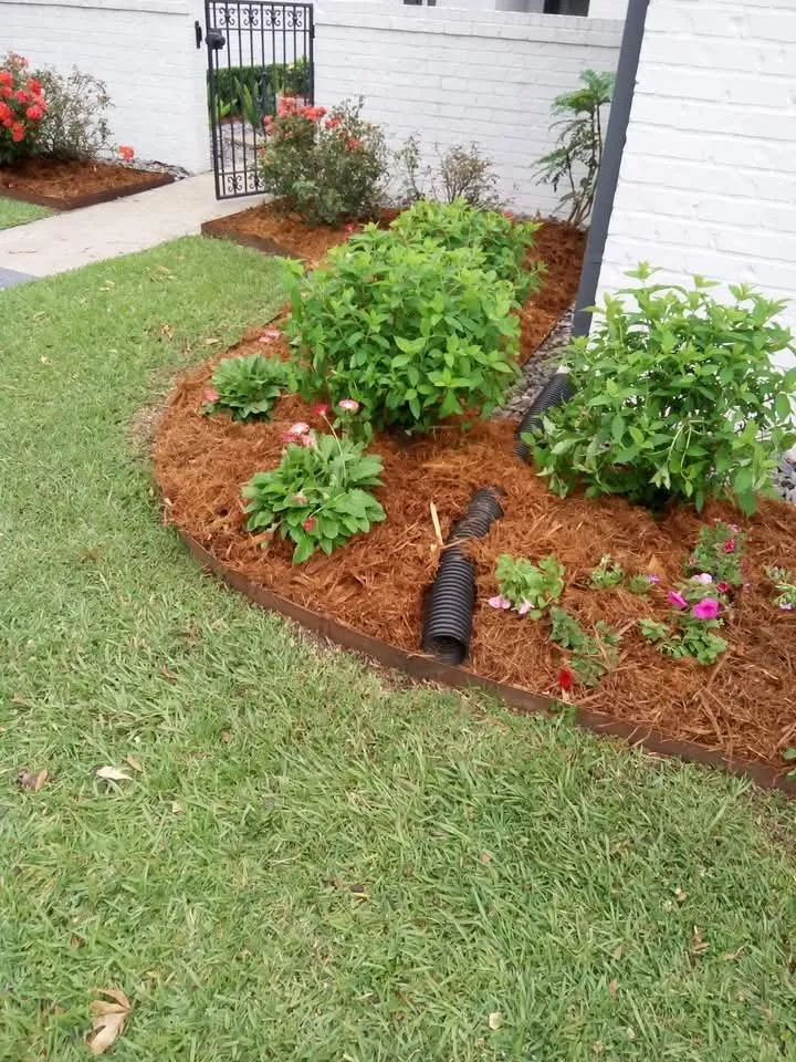 Top-rated lawn care service experts serving Abbeville, LA - Landrys Landscaping and Gardening