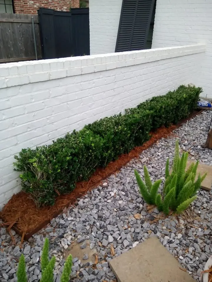 Trusted residential landscaping in Abbeville, LA - Landrys Landscaping and Gardening