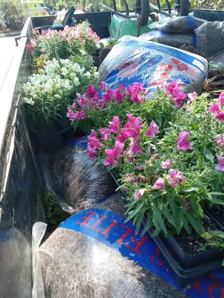 Local landscape design in Abbeville, LA by Landrys Landscaping and Gardening