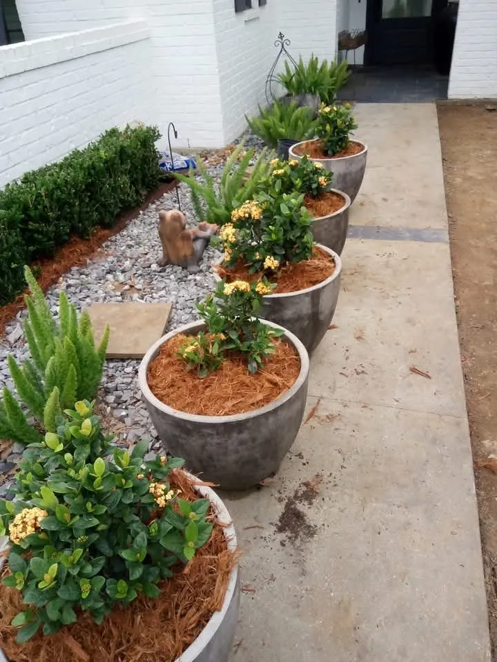 Top-rated yard cleanup service experts serving Abbeville, LA - Landrys Landscaping and Gardening