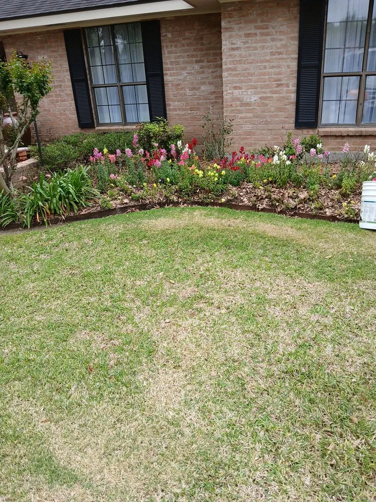 Local lawn care service for year-round maintenance in Abbeville, LA by Landrys Landscaping and Gardening