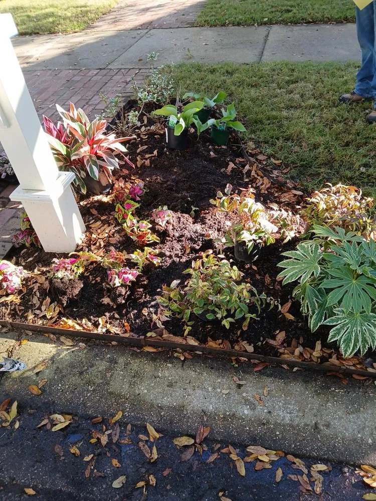 Top-rated lawn mowing service in Abbeville, LA - Landrys Landscaping and Gardening