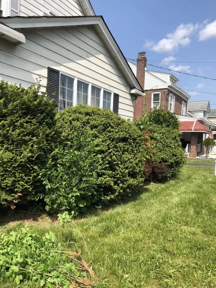 Trusted yard cleanup service in Trenton, NJ by Lands Keeping Chan