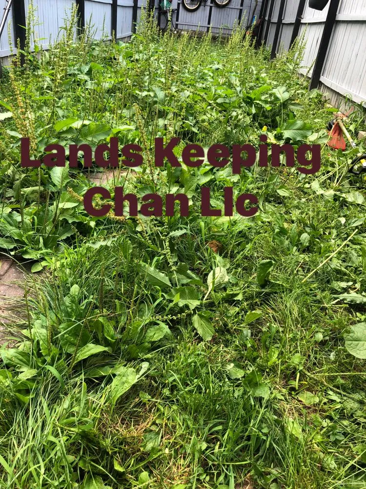 Professional lawn mowing service for residential properties in Trenton, NJ by Lands Keeping Chan