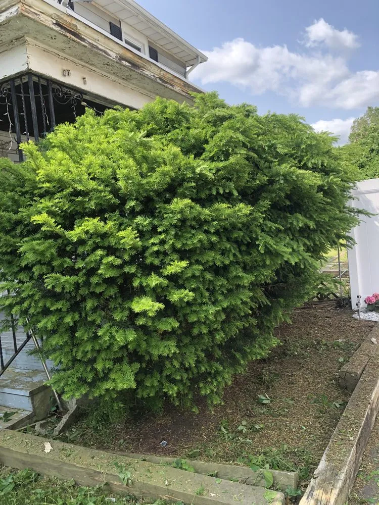 Affordable yard maintenance experts serving Trenton, NJ - Lands Keeping Chan