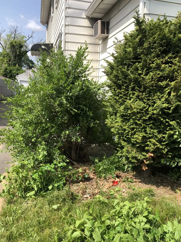 Custom garden landscaping experts serving Trenton, NJ - Lands Keeping Chan