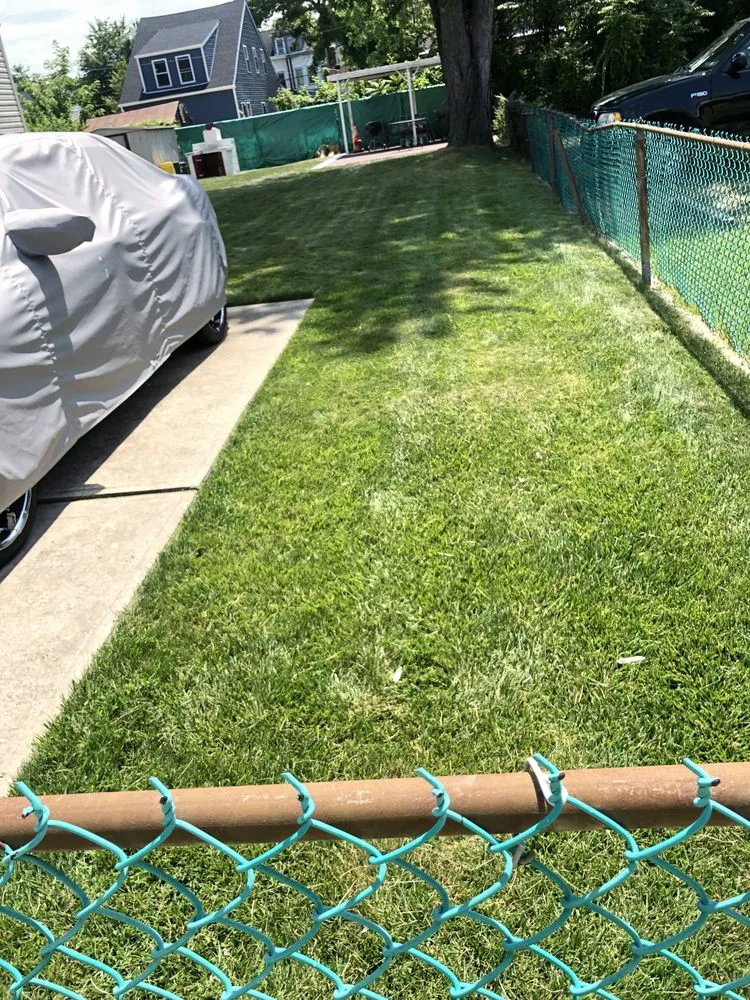 Custom lawn care service in Trenton, NJ by Lands Keeping Chan