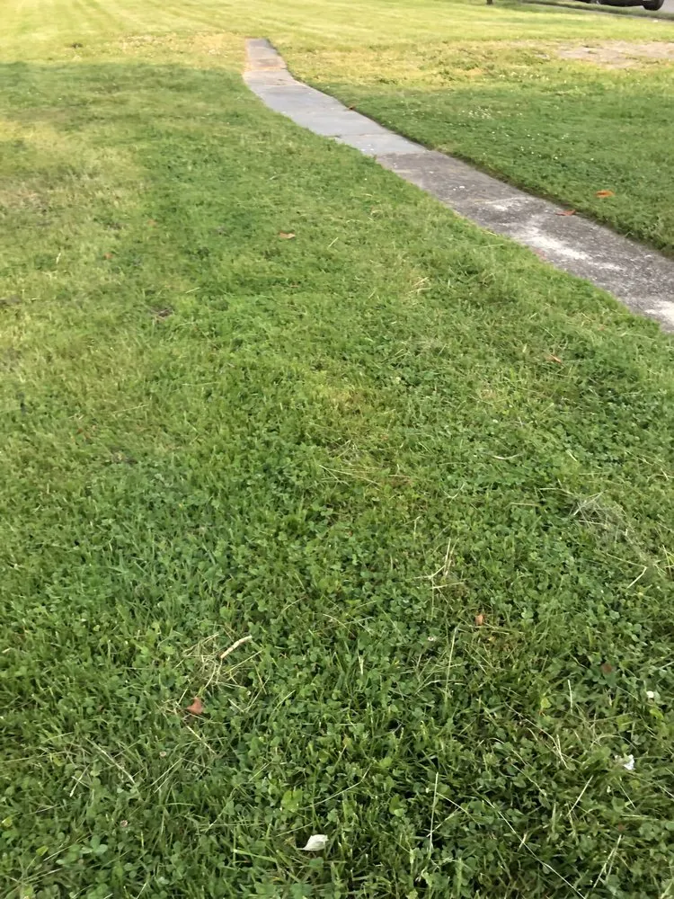 Trusted lawn mowing service for homes in Trenton, NJ by Lands Keeping Chan