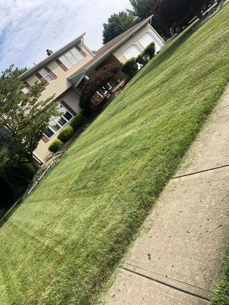 Professional yard cleanup service near you in Trenton, NJ by Lands Keeping Chan