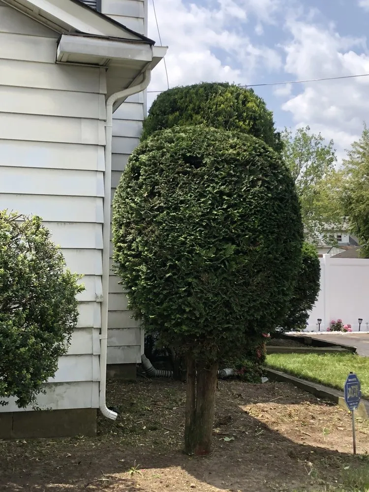 Affordable landscape design in Trenton, NJ - Lands Keeping Chan