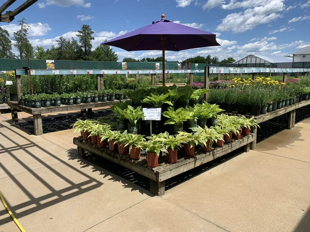 Affordable yard maintenance experts serving Brainerd, MN - Landsburg Landscape Nursery