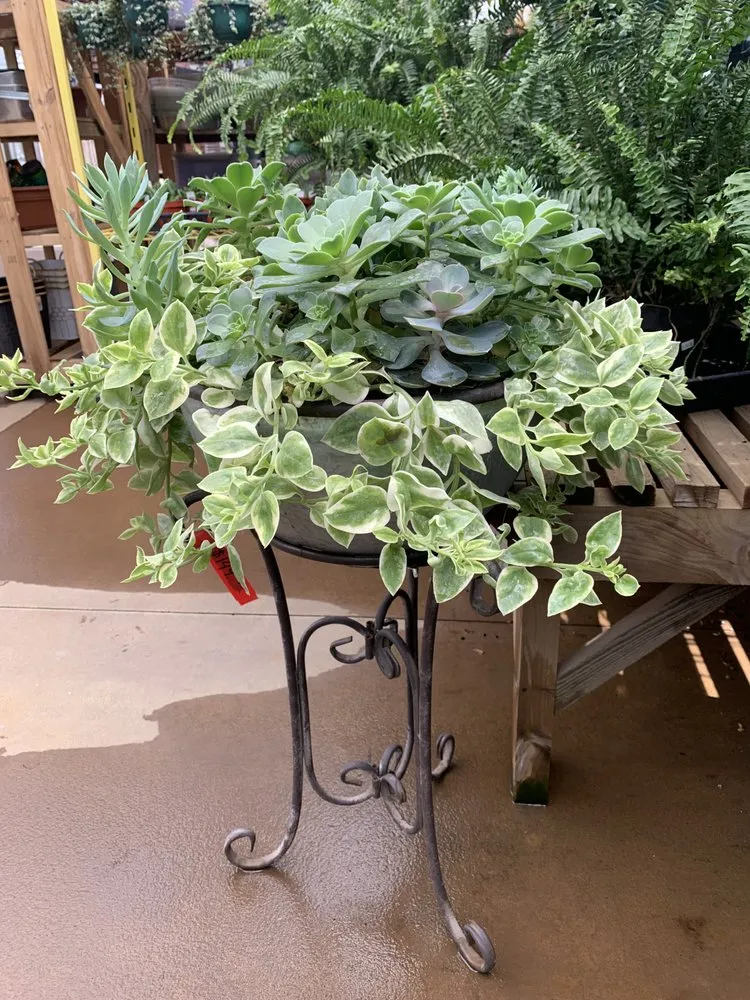 Reliable residential landscaping in Brainerd, MN - Landsburg Landscape Nursery