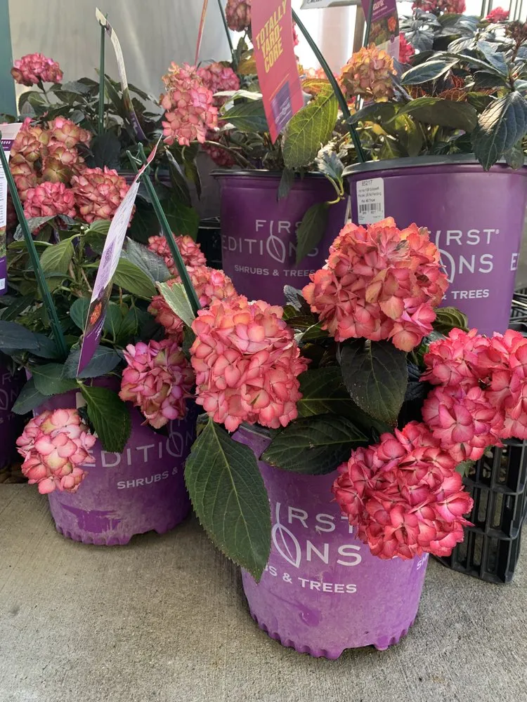 Reliable residential landscaping experts serving Brainerd, MN - Landsburg Landscape Nursery