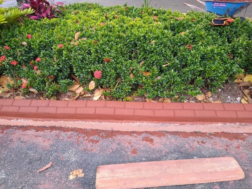 Local lawn care service experts serving Fort Lauderdale, FL - Landscape & Borders