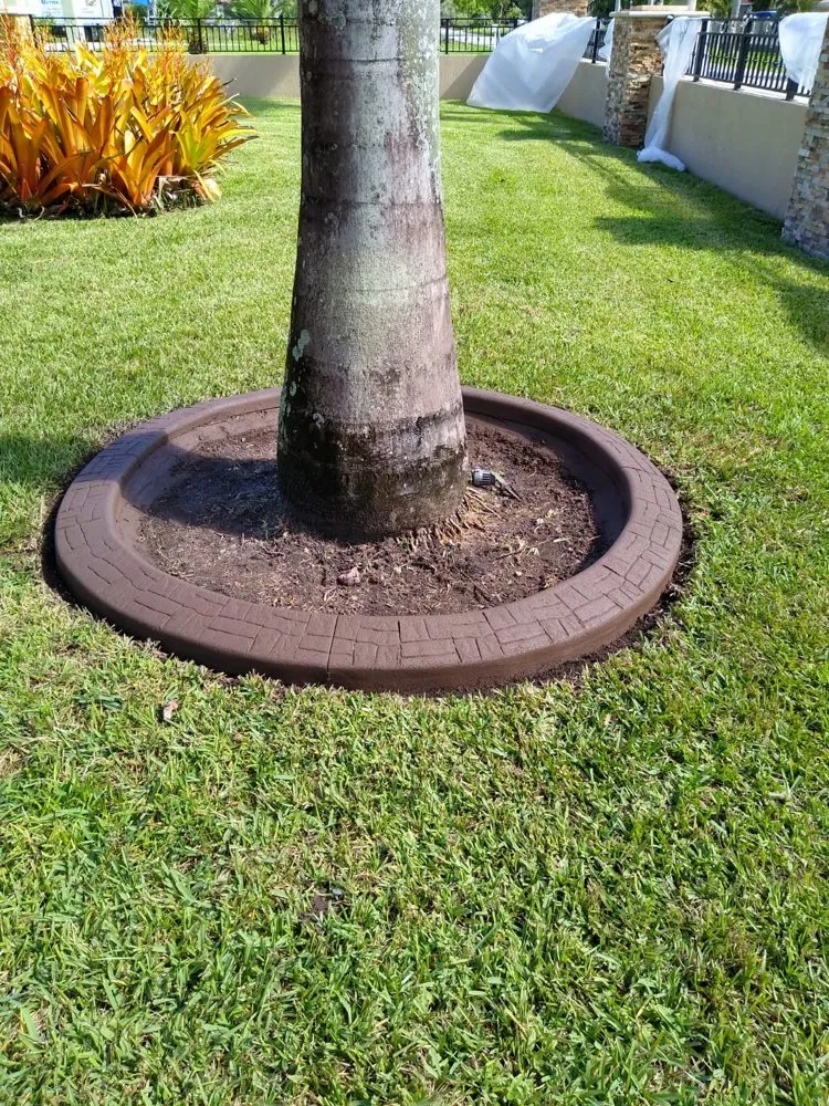 Reliable yard maintenance with custom design in Fort Lauderdale, FL by Landscape & Borders