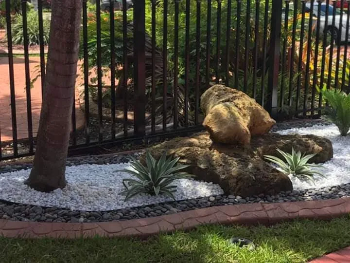 Professional lawn care service for beautiful yards in Fort Lauderdale, FL by Landscape & Borders