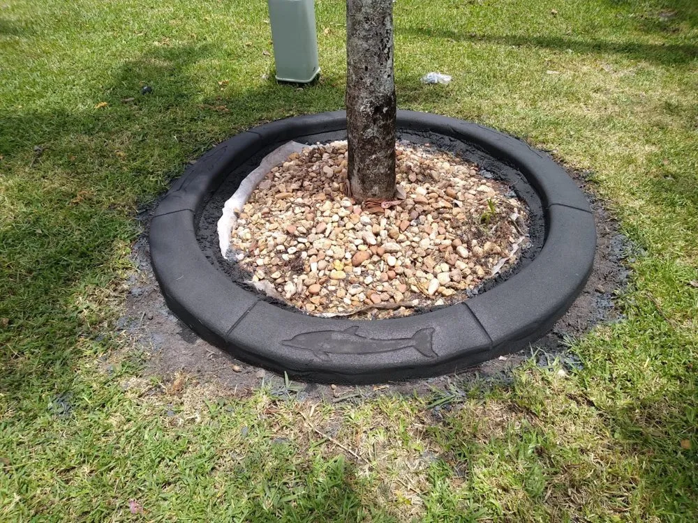 Expert yard maintenance experts serving Fort Lauderdale, FL - Landscape & Borders